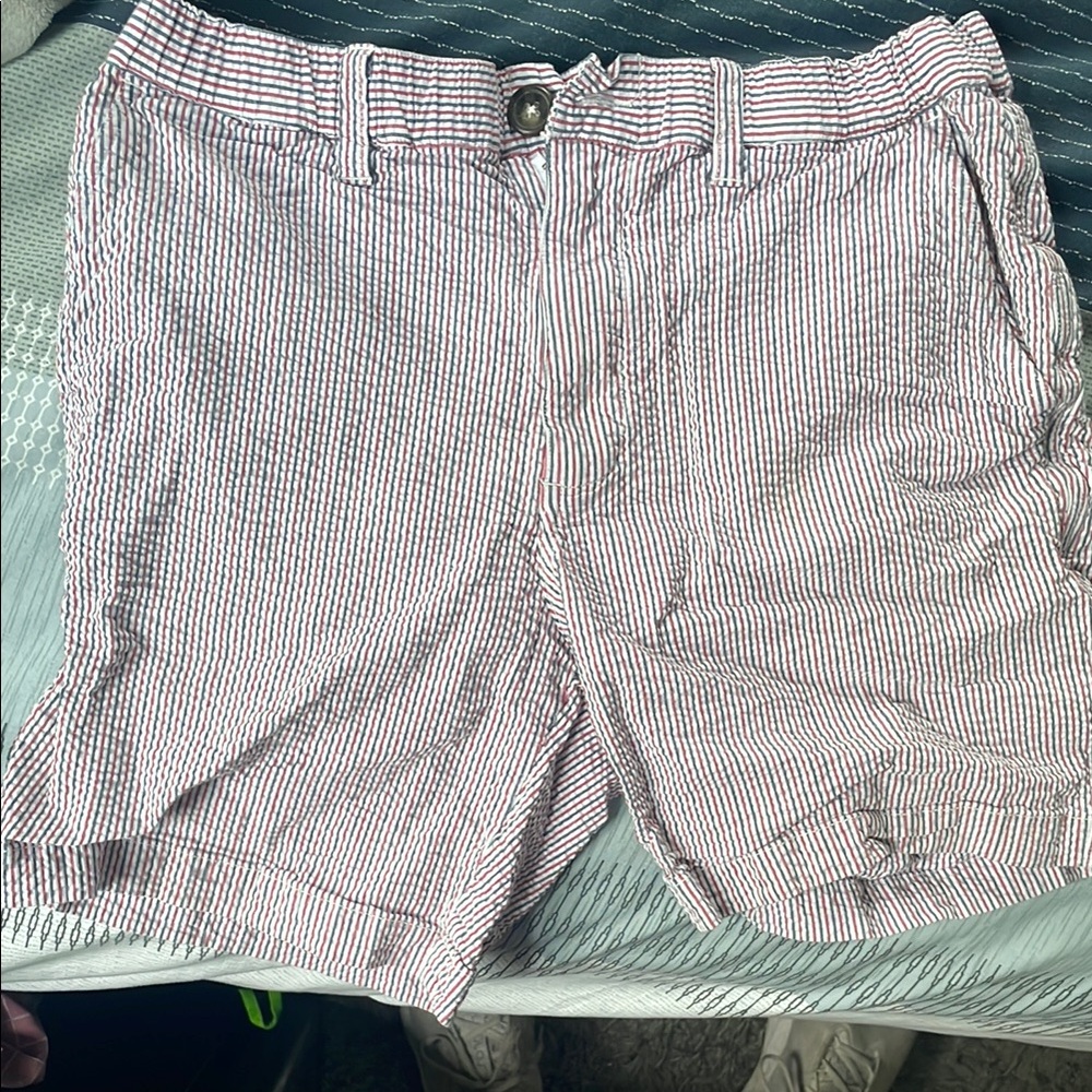 Chubbies Red and White Striped Cargo Shorts